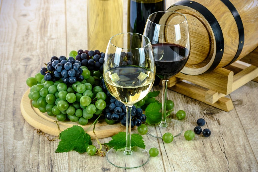 RECENSIONE: Il respiro del vino, un viaggio appassionante con Luigi Moio  nel mondo del vino – La Penna nel Cassetto